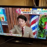 レボリューション 28インチ液晶テレビ ZM-28TV 2015年製