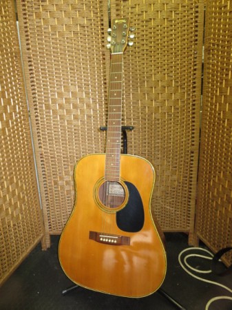鈴木バイオリン アコースティックギター W-200